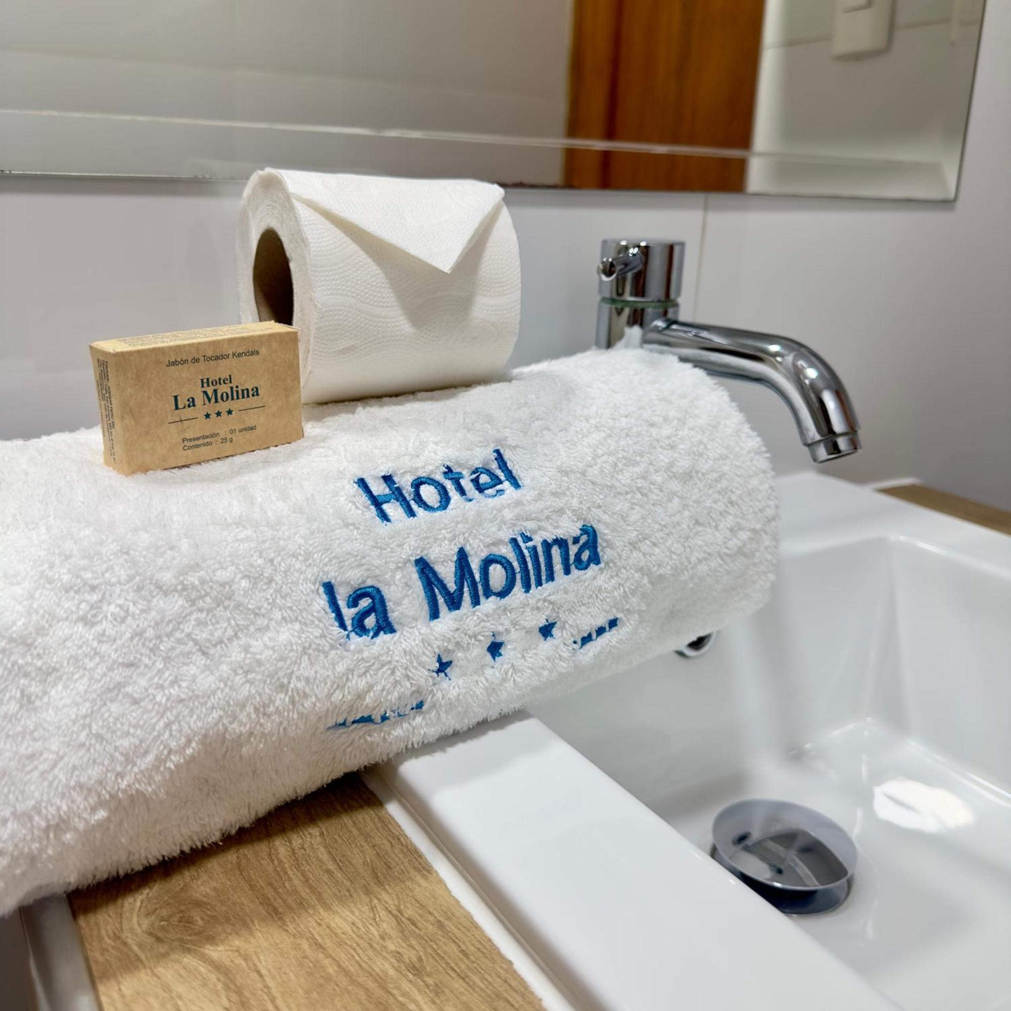 Hotel Hotel La Molina 2*